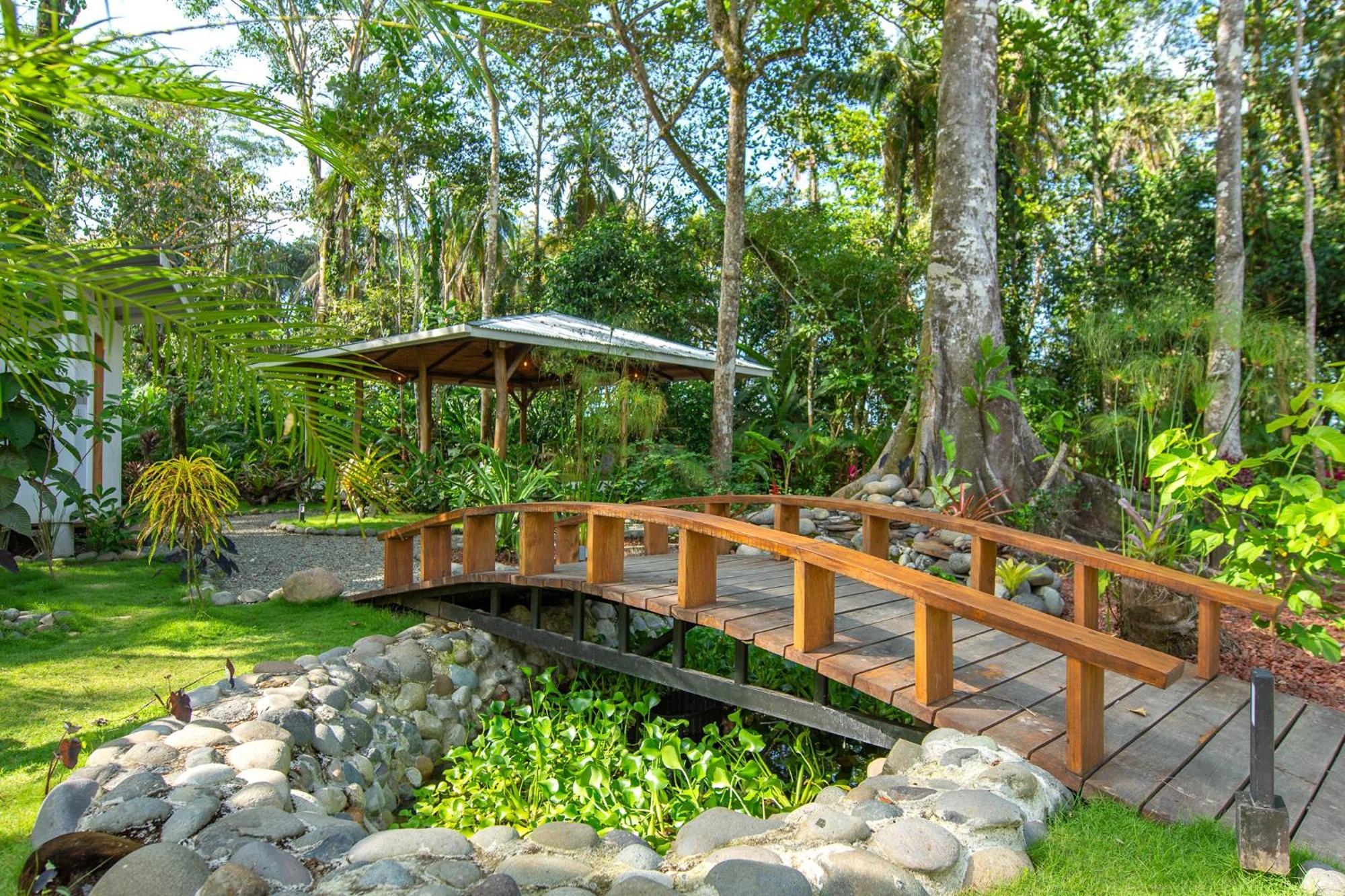 Dragonfly Beachfront Villas-Adult Only Punta Uva Eksteriør billede