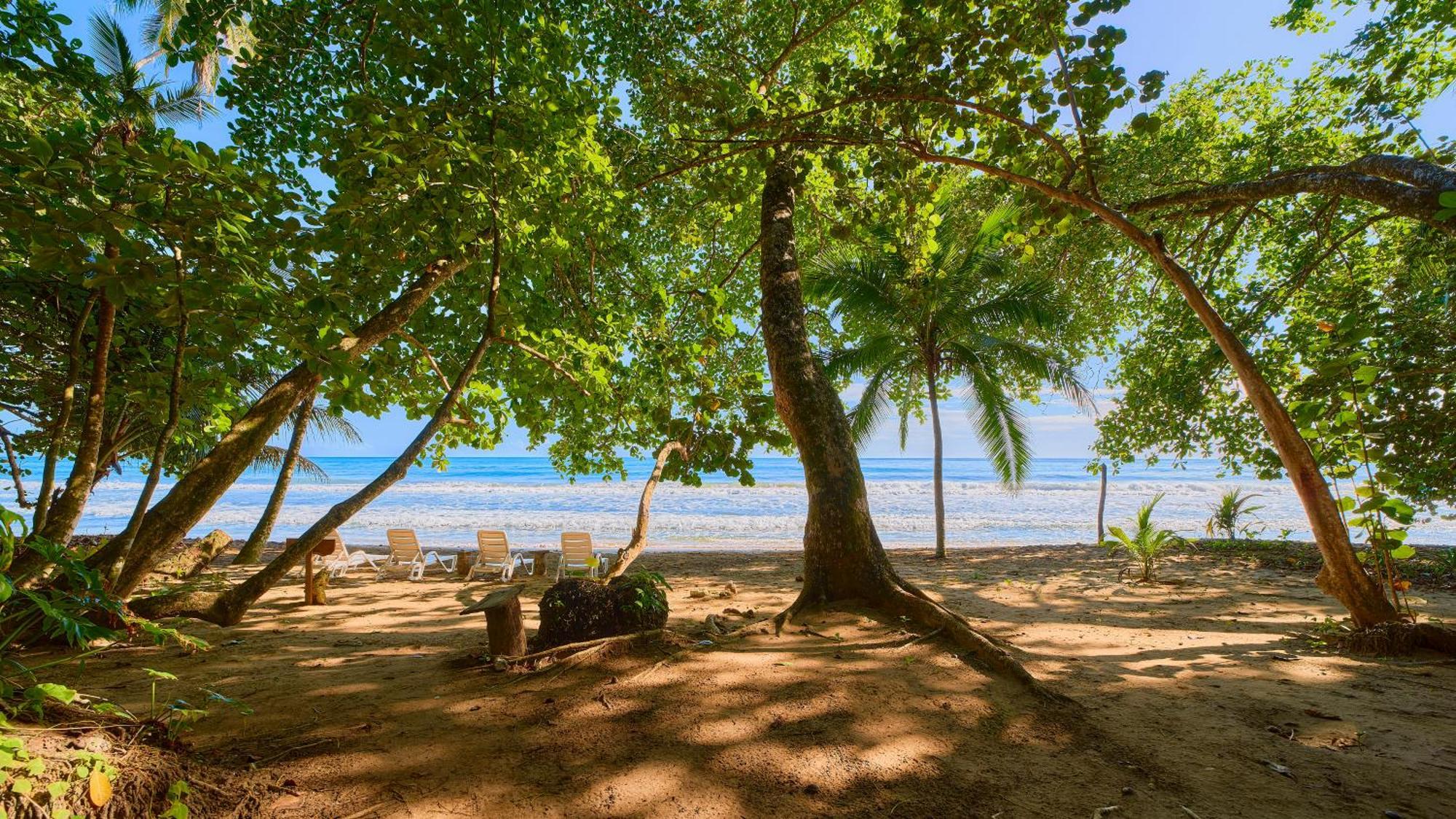 Dragonfly Beachfront Villas-Adult Only Punta Uva Eksteriør billede