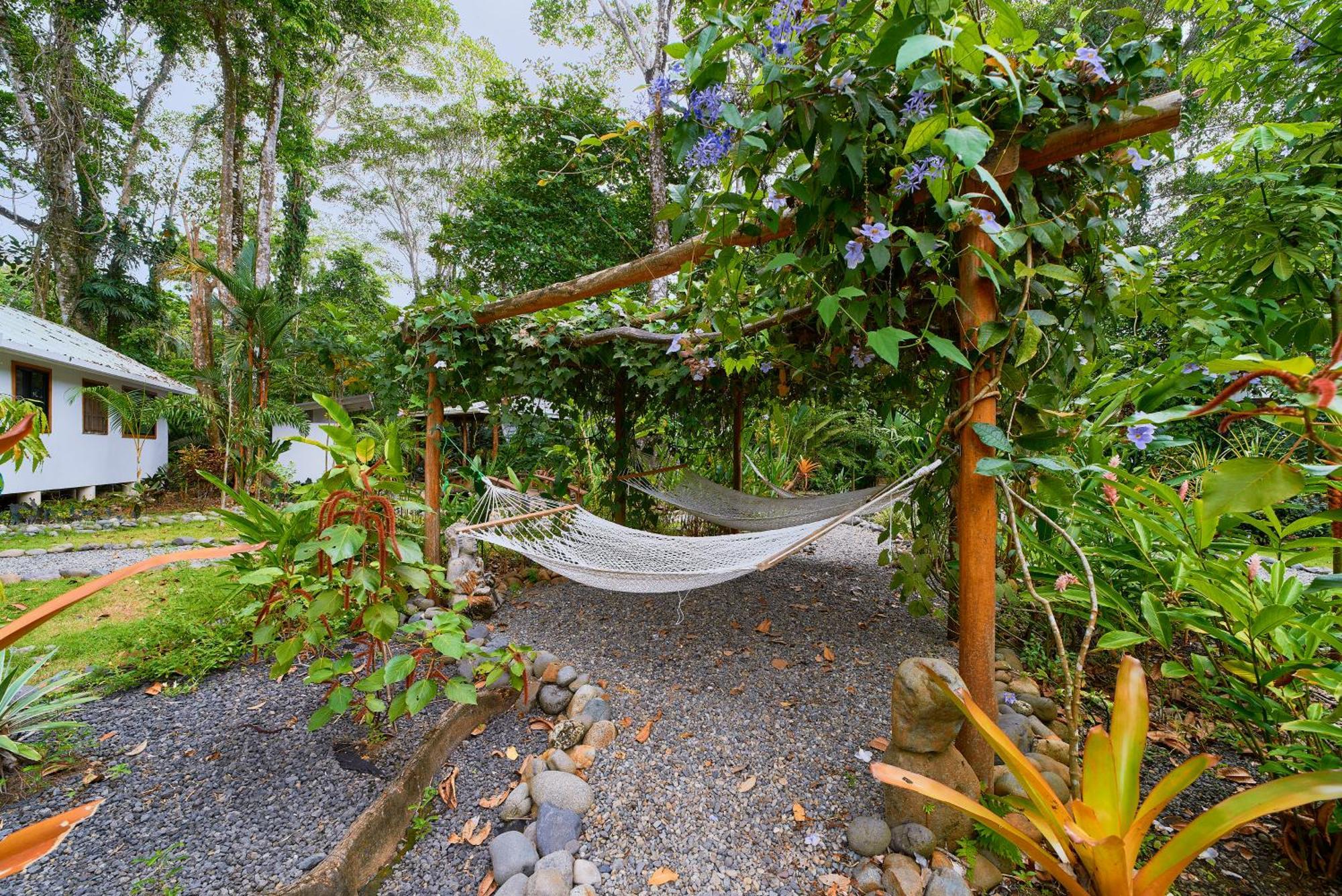 Dragonfly Beachfront Villas-Adult Only Punta Uva Eksteriør billede