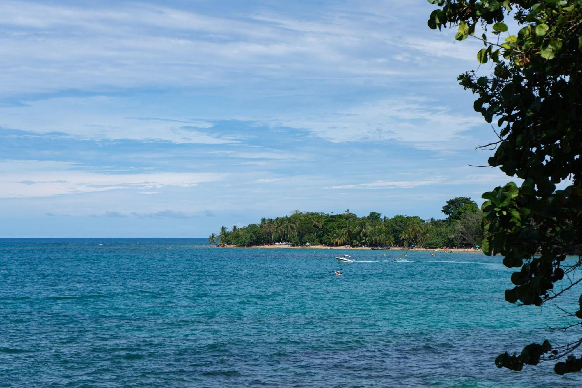 Dragonfly Beachfront Villas-Adult Only Punta Uva Eksteriør billede