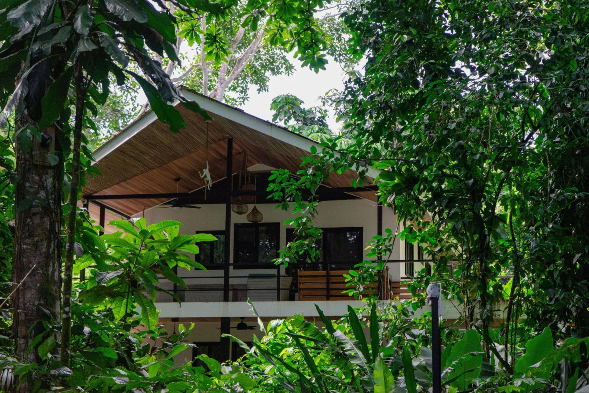 Dragonfly Beachfront Villas-Adult Only Punta Uva Eksteriør billede